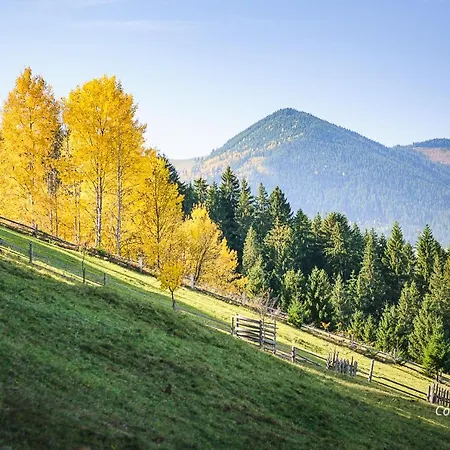 сонячна בית הארחה