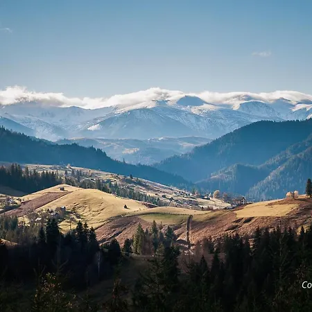 בית הארחה сонячна