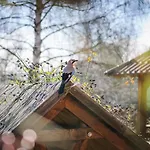 сонячна